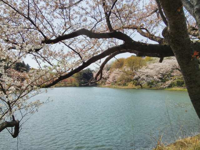 県立三ッ池公園(横浜市)