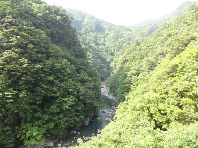 大杉谷(奈良県・三重県)
