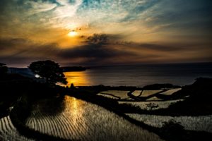 東後畑棚田(長門市)