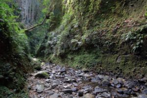 伊尾木洞(安芸市)