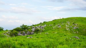 平尾台(北九州市)