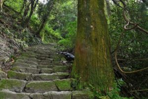 宝満山百段雁木(太宰府市)