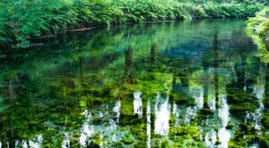 南阿蘇の水源群(南阿曽村)