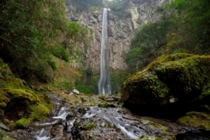東椎屋の滝(宇佐市)