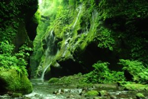 由布川峡谷(由布市)