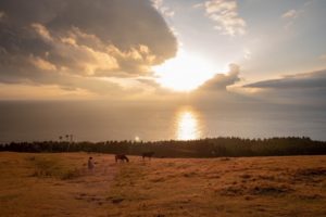 都井岬(串間市)