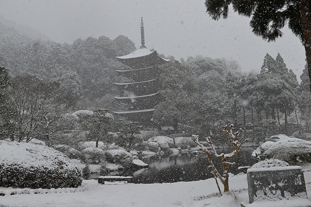 雪の瑠璃光寺五重塔(山口県山口市)